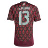 Officiële Voetbalshirt Mexico Guillermo Ochoa 13 Thuis 2024 - Heren